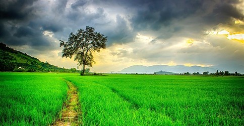 How to Sell a Farm