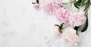 How to Run a Florist