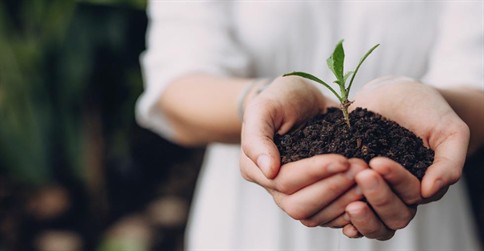 How to Run a Garden Centre