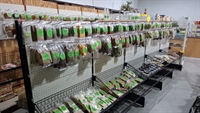 long established dried fruit - 1