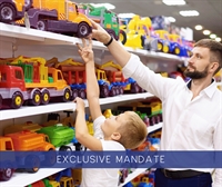 profitable retail toy business - 1