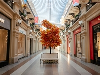 exceptional shopping mall thriving - 1