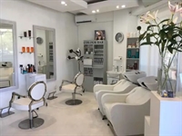well established hair dressing - 1