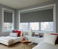 established profitable blinds shutter - 1