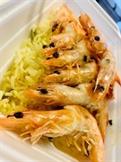 established halaal fish burger - 2
