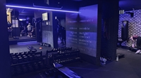 established boutique fitness gym - 3