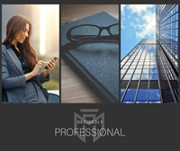 business brokerage franchise territory - 2