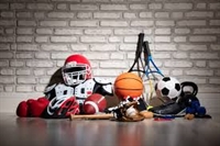 manufacturer of sport leisure - 1