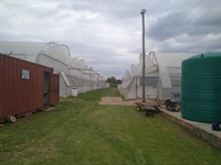 fully automated commercial greenhouse - 1
