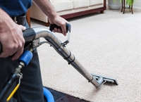 carpet cleaning business western - 1