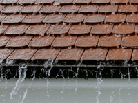 well-established waterproofing franchise port - 1