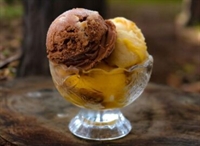 premium ice cream dessert - 1