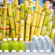 bottle manufacturer-biodegradable products cape - 1