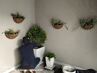 gardening landscaping services business - 2