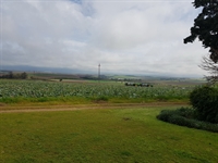 bountiful grape farm wellington - 3