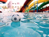 well-established installer swimming pools - 1