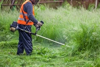 garden services plot clearing - 1