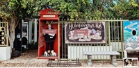 one-of-a-kind antique collectibles shop - 1