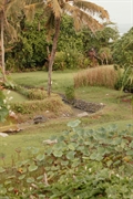 garden service north durban - 1