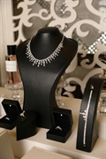 acquire a premier jewellery - 1