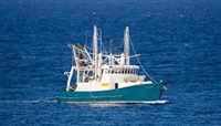 wholesale business overberg - 1