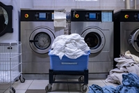 established laundry business garden - 1