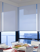 established profitable blinds shutter - 3