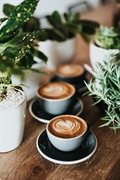 established café licensed hospitality - 1