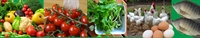 grow organic plus micro - 1