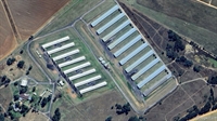 profitable broiler farm mpumalanga - 1