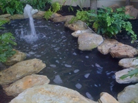 landscaping design business western - 2