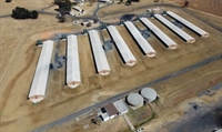 profitable broiler farm mpumalanga - 2