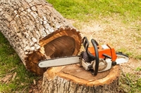 established tree felling business - 1