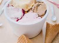 established ice cream manufacturing - 1