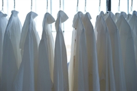 established laundry business garden - 3