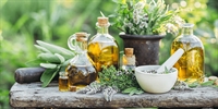 established profitable wholesale supplier - 1