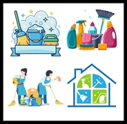 established cleaning services business - 1