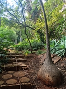 one-of-a-kind hillside retreat pretoria - 1