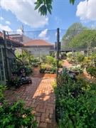 established coffee shop nursery - 2