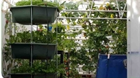 grow organic plus micro - 2
