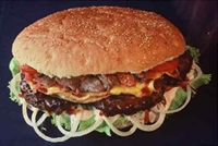 established profitable fast food - 1