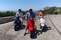 flexible scooter hire franchise - 3
