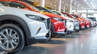 car rental garden route - 1