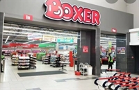boxer investment opportunity gauteng - 2