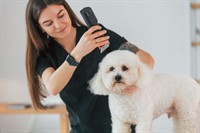 lucrative mobile grooming business - 1