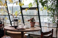 intimate growing franchised coffee - 2