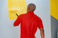 established paint manufacturing business - 2