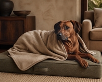 premium pet bed homeware - 2