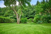 established garden service durban - 1