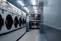 established laundry business garden - 2